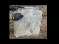 Cleaning A Civil War Veteran's Headstone