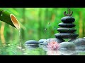 Relaxing music Relieves stress, Anxiety and Depression 🌿 Heals the Mind, Deep Sleep [Vibrant Flow]#1
