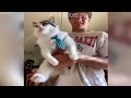 It's Hard Not to Laugh 🤣 Best Funny Animals Video 2024 🤣 Cats and Dogs Compilation 😻🐶 Part 6