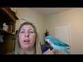 Quaker Parrots as Pets