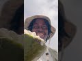 Drinking From Coconuts In Barbados On The Street