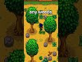 What's The RAREST Item In Stardew Valley?