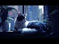 😺Auggie's Nighttime Adventures: A Cute Sleepy Story | Bedtime Story for Grown Ups