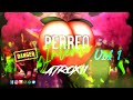 MIX PERREO INTENSO 2024🔥 VOL 001 | DJ ATROXII🔥
