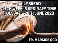 the week of ordinary time