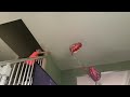 Balloon Parachute@MarkRober