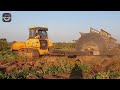 Most Dangerous Fastest Big Tree Removal Bulldozers At Another Level