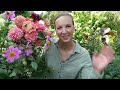 Get More Dahlia Flowers with These Tips!!! Northlawn Flower Farm