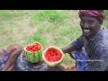 WATERMELON JUICE | Farm Fresh Fruit Juice Making | Watermelon Craft | Watermelon Experiment