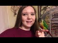 DAILY ROUTINE With All My Crazy Birds!! *what it’s like to own parrots*