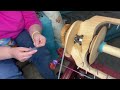 Spinning Demonstration: 2 ways to start spinning on a new bobbin