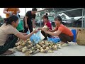 Harvesting Underground Bamboo Shoot Goes To Market Sell - Animals Care | New Free Bushcraft