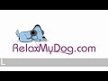 Music to Relax Your Dog - Dog Music Therapy