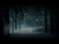 a playlist for a gloomy winter snow for sleep relax white n