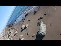 Asia catching balls at San Leandro Marina. July 25 2024.