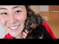 BOYFRIEND SURPRISES ME WITH A PUPPY!!