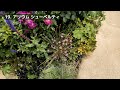 【ガーデニング】色彩豊かな植栽がうっとり美しすぎる！オシャレな宿根草27種の紹介！初夏咲き！中之条ガーデンズ！園芸研究家 河合伸志！園芸のプロから学ぶ！【群馬県中之条町】Gardening