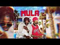 Jahshii, Damiithastylist - Mula (Official Audio)