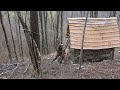Alone build a stone Bushcraft house in the Forest. Start to finish