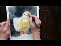 How to Paint a Fluffy Chick for Easter - Wet on Wet Soft Edges explained! Watercolor 4 Beginners