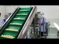 You Won't Believe The BIGGEST Cashew Nuts Production Line Mega Cashew Nuts Factory