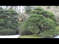 Natural Sceneries | Portland Japanese Garden