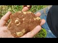 MAN FINDS GOLD NUGGET OF OVER 1 KG UNDER A STONE