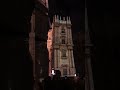 Malaga Christmas Lights Cathedral