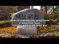 Spring Flowers in Seoul 서울 낙산공원의 봄꽃들