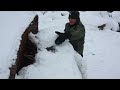 Winter Survival on a FROZEN ISLAND! Heavy Snow, Building Shelter