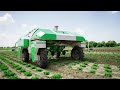 How Robots Grow and Harvest Millions of Vegetables Every Day