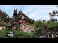Korea travel vlog | Sunrise at Haedong Yonggungsa Temple in Busan City #busantrip