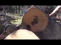 Small saw, big wood