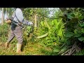 Volunteering to help an elderly person clean up their overgrown garden