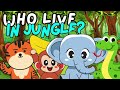 WHO LIVE AT JUNGLE FLASH CARDS. EASY FOR KIDS WITH INTEREST FACTS ABOUT ANIMALS KIDS LEARNING WORDS.