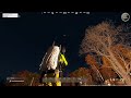 dayz feuerwerk zuflucht