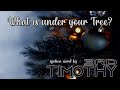 3rd Timothy - What is under your Tree?