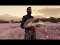 GIANT Common Carp & More Makes Our Day On The New Spain Map! Call of the wild The Angler