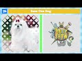 Pick the Cutest Dog | Which Dog is Cuter?