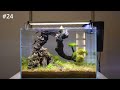 26 AMAZING NANO AQUASCAPES! 2023 Aquaflora Nano Aquascaping Contest