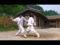 Taekkyeon, a traditional Korean martial art