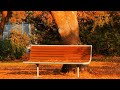 Autumn leaves and Calming music meditation for all negative emotions Mindfulness Meditation