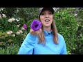 Starting Cool Flower Transplants Inside // Hardy Annuals Q & A // Northlawn Flower Farm