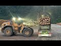 Extreme Dangerous Monster Stump Removal Excavator |  Fastest Stump Grinding Machine Wood Working