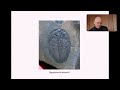 Exceptionally Preserved Trilobites - Dr Ru Smith (Anning Lectures) [STREAM]