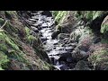 10 Hour Nature Sounds - Bird Song, Running Stream, Forest, spring time-Mindful, Relaxing, Meditation