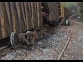 CSX Trail Derailment, Runaway Welded Rail-Train