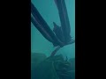 Kraken underwater - Sea of thieves