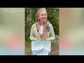 Owner Interview: Bob Ross Alaskan Oil Painting | ANTIQUES ROADSHOW | PBS