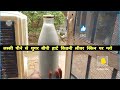 लस्सी पीने से शुगर BP ठीक हार्ट, किडनी,liver,skin पर ग्लो #youtube  #लस्सी #lassi